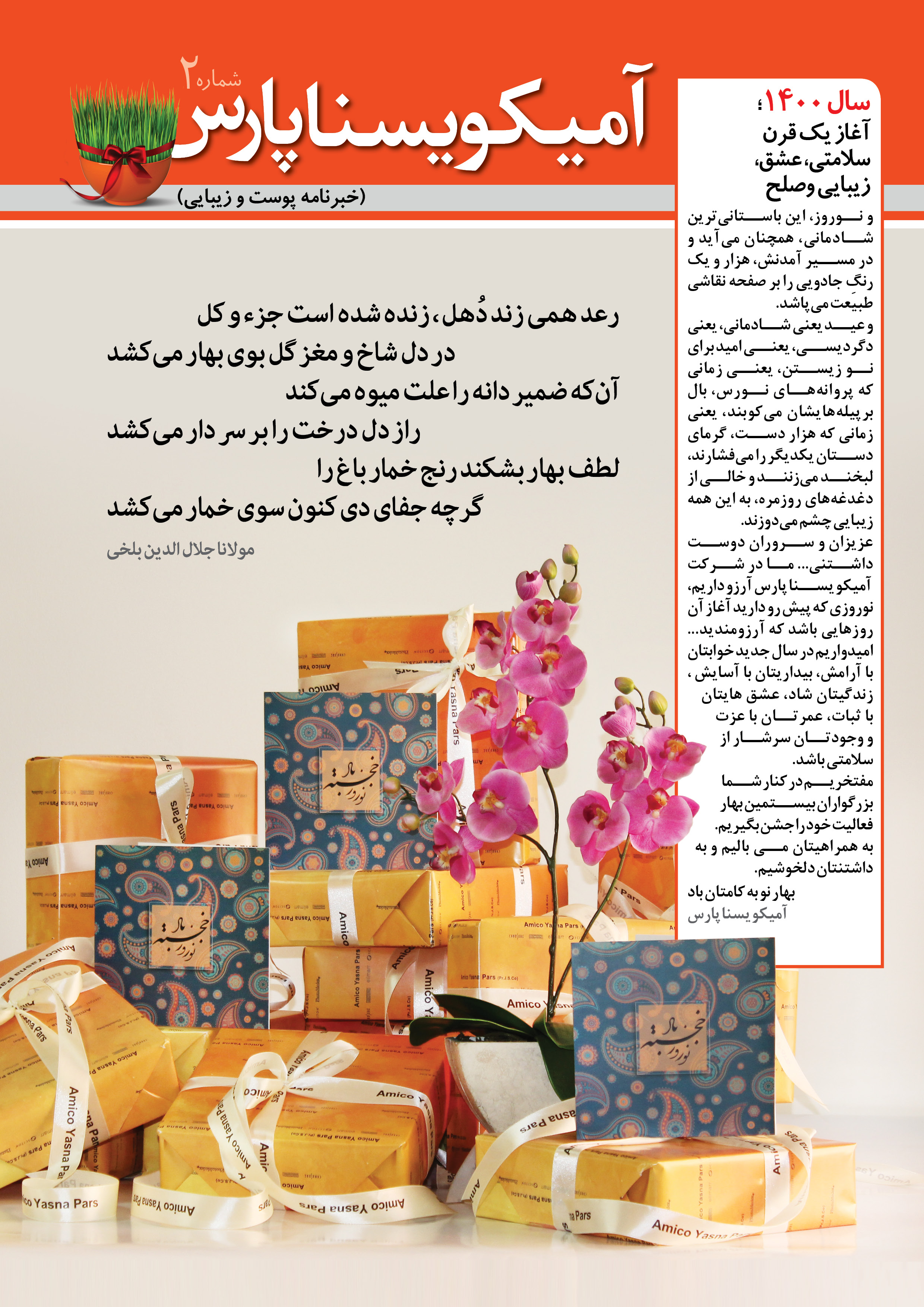خبرنامه پوست و زیبایی  آریا یسنا پارس